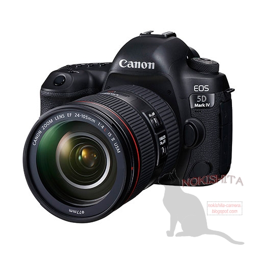 Canon EOS 5D Mark IV with EF 24-105mm f/4L IS II USM lens kit