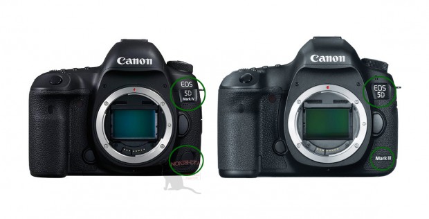 Canon EOS 5D Mark IV has a new logo design.