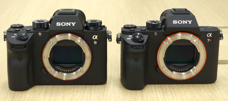 Sony-a9-vs-Sony-a7RII-1