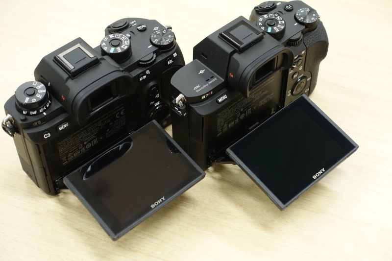 Sony-a9-vs-Sony-a7RII-11