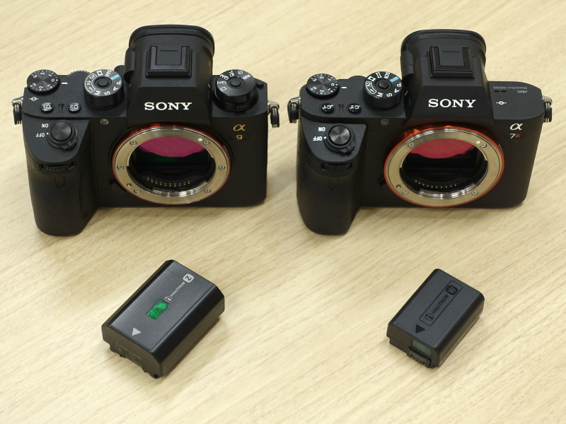 Sony-a9-vs-Sony-a7RII-12